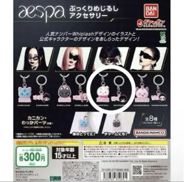 [ 2종 세트 ] WINTER aespa  메지루시 액세서리