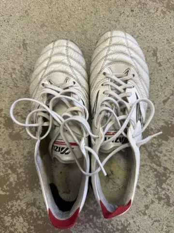 Mizuno 모렐리아 네오 24cm