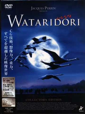 서양화 DVD WATARIDORI