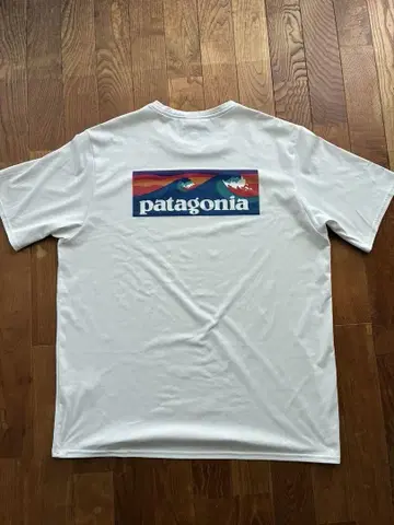 Patagonia 파타고니아 캐플린 쿨 데일리 티셔츠 L