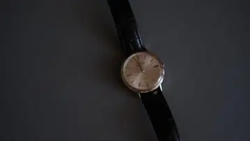 IWC 플래티넘 다이얼
