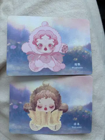 SKULLPANDA Windflower & Teakwood 스컬팬더