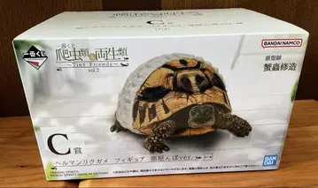 제일복권 파충류 양서류 C상 헬만리쿠가메 1개