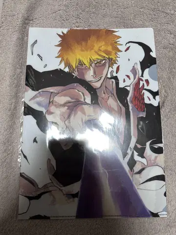BLEACH EX. 원화전 클리어 파일 쿠로사키 이치고