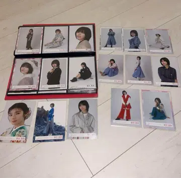 후지 요시카 카린 브로마이드