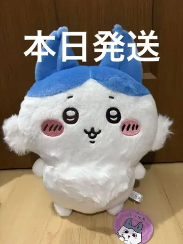 치이카와 (먼작귀) 패러렐 월드! BIG 봉제 인형 하치와레