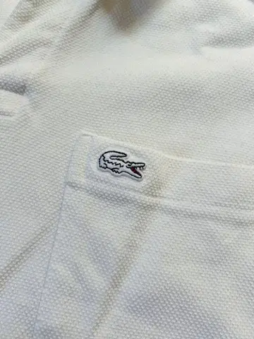 LACOSTE CLASSIC FIT 화이트 피케 셔츠 L