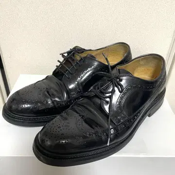호킨스 스페인산