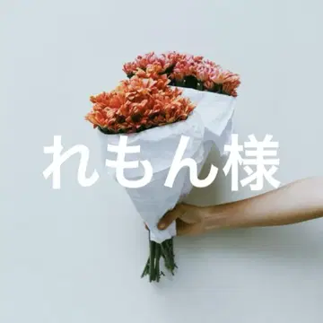 레몬 님