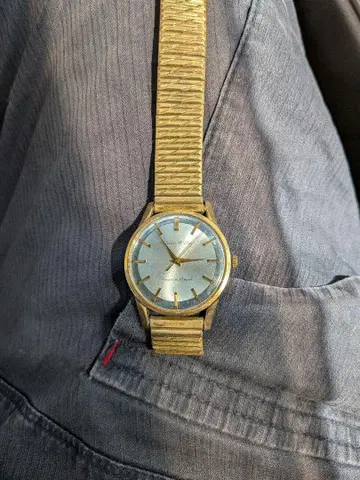 citizen hi-line powershock 25 jewels 작동품
