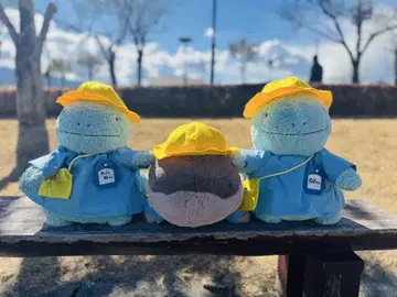 원아 4세트 누오, 도오용