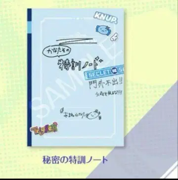 아메노 카나타 2nd 앨범 'Trigger' 완전 생산 한정판 혜택 노트