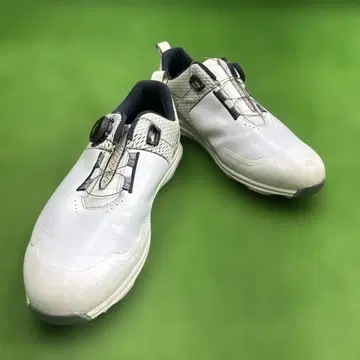 보물 미즈노 골프화 25.5cm BOA 여분으로 어떠신가요?
