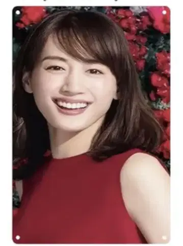 아야세 하루카 브리키 간판 6