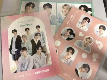 ENHYPEN 피치 존 스티커 3종