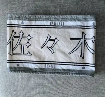 사사키 마이카 머플러 타월 아레나 투어 2025