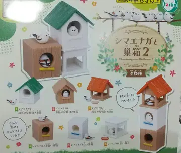 시마에나가와 새집 2