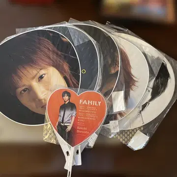 Koichi Domoto 부채 세트 6권 세트