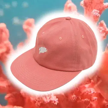CUP AND CONE Coral 6 Panel