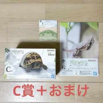 파충류 및 양서류 제일복권 C상