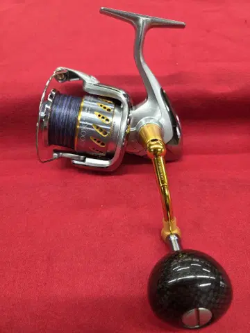 시마노 STELLA SW4000XG