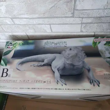 파충류 제일복권 B상 턱수염도마뱀 피규어 하이포제로