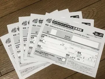 홈타운 돌파 오사카 10 SD 메모리얼 원오프 모델 응모 용지 5매만 2