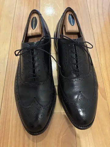 Allen Edmonds CHESTER 미국 Made in USA
