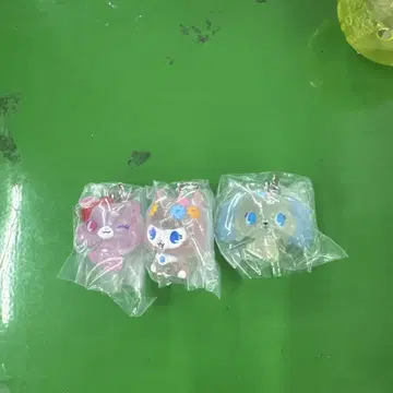 주얼 펫 3개 세트
