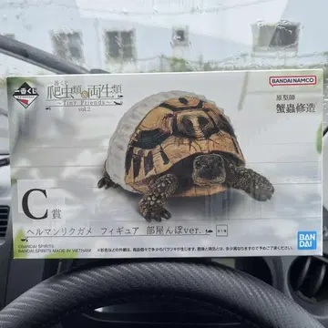 파충류 제일복권 C상 헬만리쿠가메