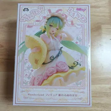 미개봉 새상품 하츠네 미쿠 WONDERLAND 피규어 잠자는 숲속의 미녀