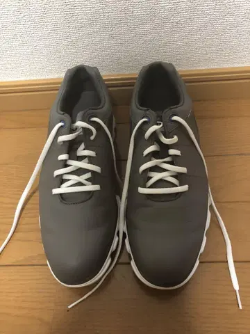 FJ 골프화 그레이