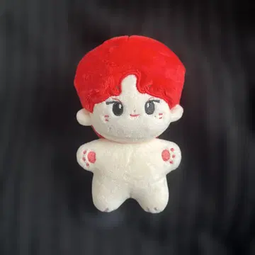 ENHYPEN 정원 12cm 봉제 인형