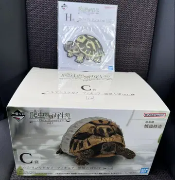 제일복권 파충류&양서류 C상 헤르만 육지거북 피규어