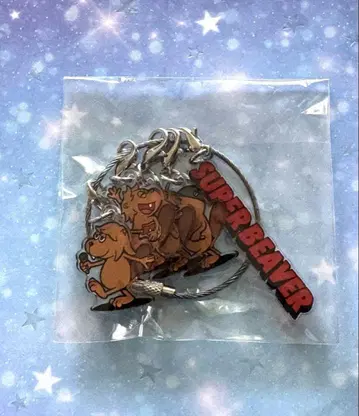 SUPER BEAVER 키 참