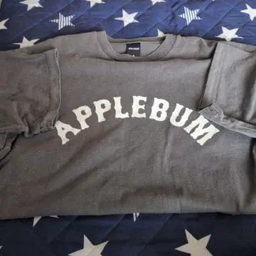 APPLEBUM 그레이 티셔츠 M 사이즈