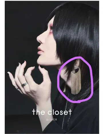 [미개봉] hakusei tiger claw fringe earrings