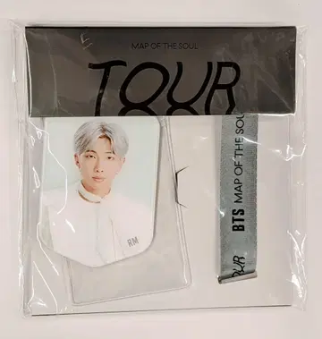BTS 2020 MAP OF THE SOUL 투어 RM 레이니드 사진