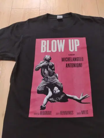 욕망 Blowup  미켈란젤로 안토니오니  해비 한코크