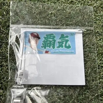 라쿠텐 이글스 나카지마 다이스케 플래그