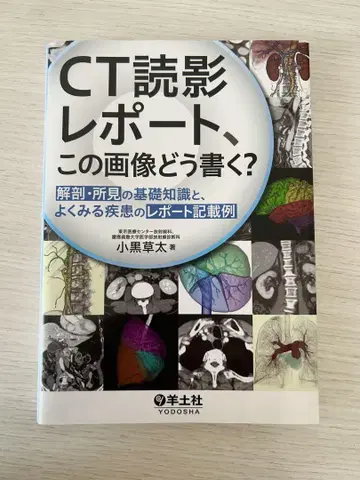 CT 판독 보고서, 이 이미지는 어떻게 쓰면 될까요?