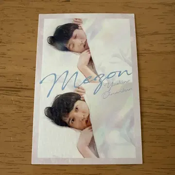 요시모토 코레카 6th Edition 메존 요시노
