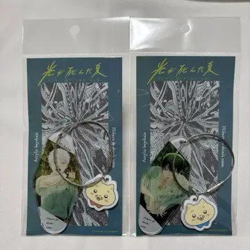 빛이 죽은 여름 팝업 와이어 이중 아크릴 키링 요시키 히카루
