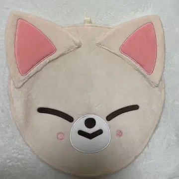 straykids 스키즈 아이엔 포쿠시니 부채 커버