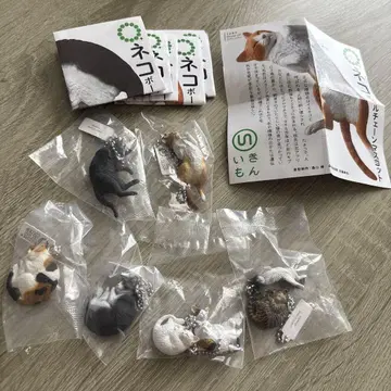 미개봉 가챠 네이처 테크니컬러 고양이 볼체인 마스코트 6종