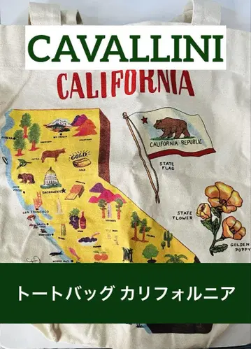 CAVALLINI 카발리니 빈티지 토트백 캘리포니아
