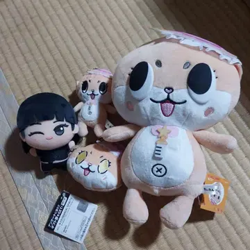 치이탄 세트