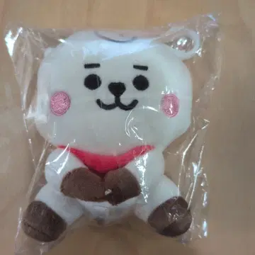 BT21 봉제 인형 RJ