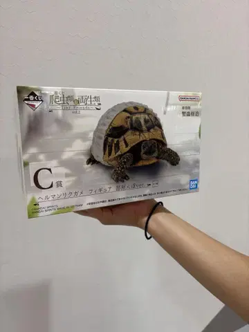 제일복권 파충류&양서류 vol.2 C상 헤르만 육지거북