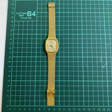 Raymond Low 남성용 손목시계 골드 쿼츠 RL-033M